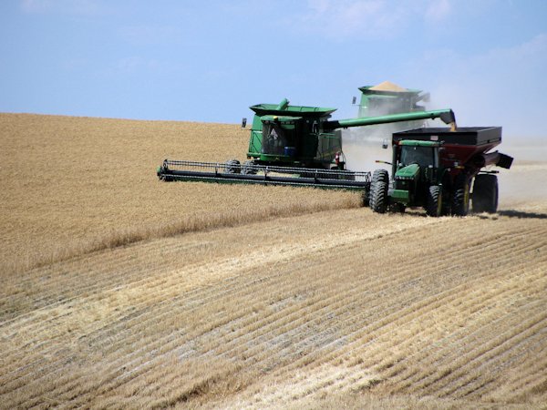 Harvest 2010-1