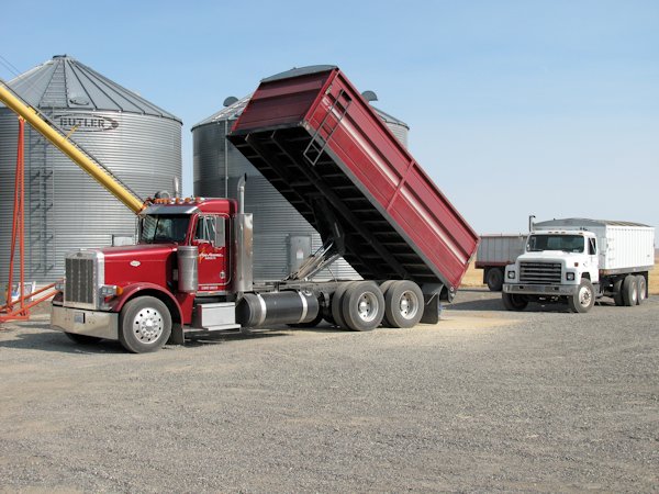 Harvest 2010-3