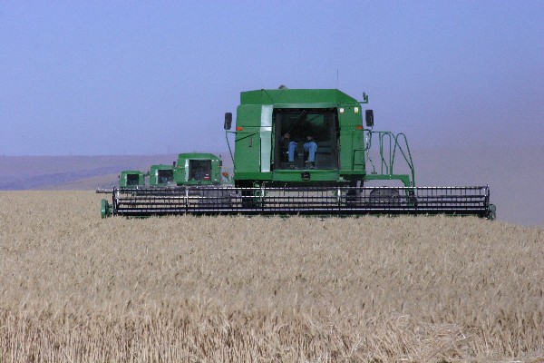4 combines 2005 4 combines 2005