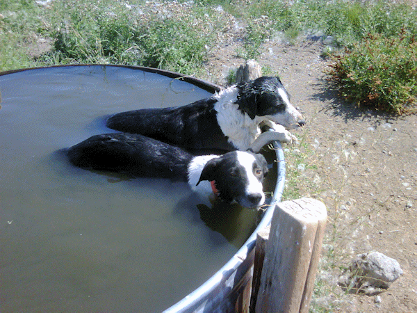 Cooling Off Cooling Off