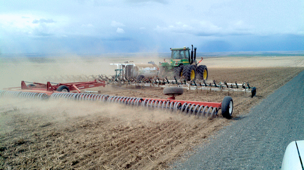 Fertilizing Fertilizing
