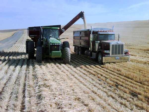 Harvest 2010-2