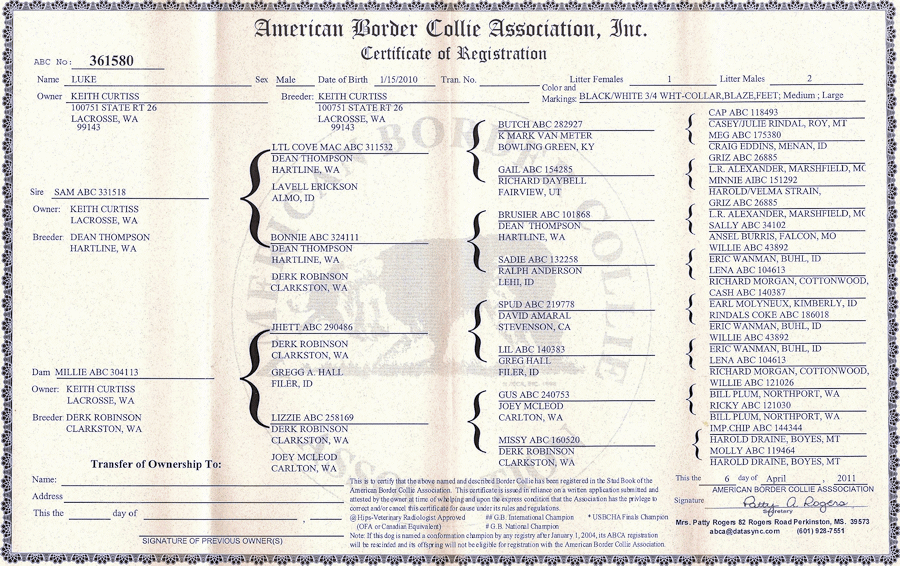 Luke Pedigree