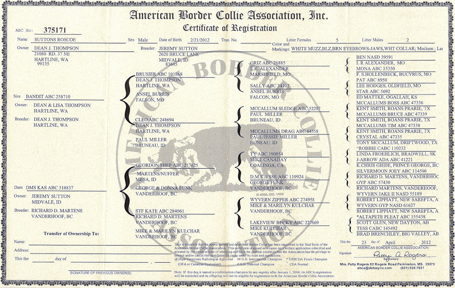 Roscoe Pedigree