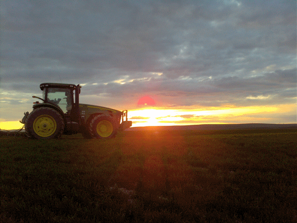 End of Day End of Day